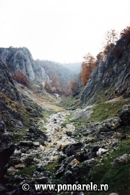 Cheile Băluţei