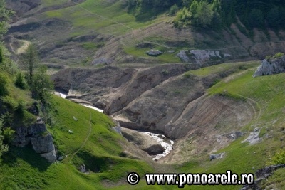 Lacul Zăton fără apă. Detaliu