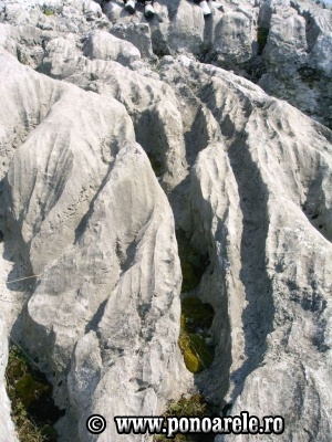 Lapiezuri