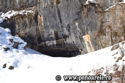 Peştera Ponoarele