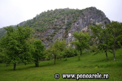 Steiul Ponorii